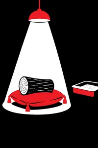 A plain wooden log sitting on a red velvet display pillow under a spotlight, a cat litter box nearby.