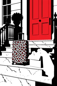 A leopard-print suitcase on the marble steps of a Manhattan townhouse, a cardboard box of bridal veils beside it.