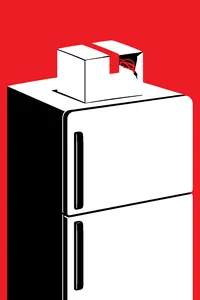 A small sealed shipping box on top of a refrigerator, a corner of colorful elastic bands showing through a torn flap.