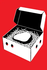 A smooth gray stone nestled in straw inside a small cardboard carrier box with air holes punched in the sides.
