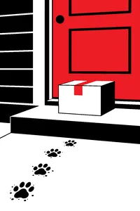 A cardboard box on a front porch step, a few muddy paw prints leading right up to it.